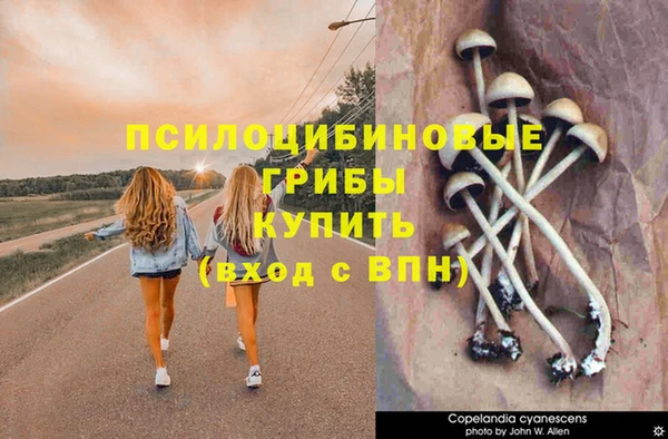 эйфоретик Куйбышев
