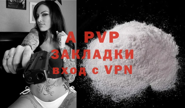 ECSTASY Ладушкин