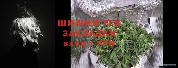 ECSTASY Ладушкин
